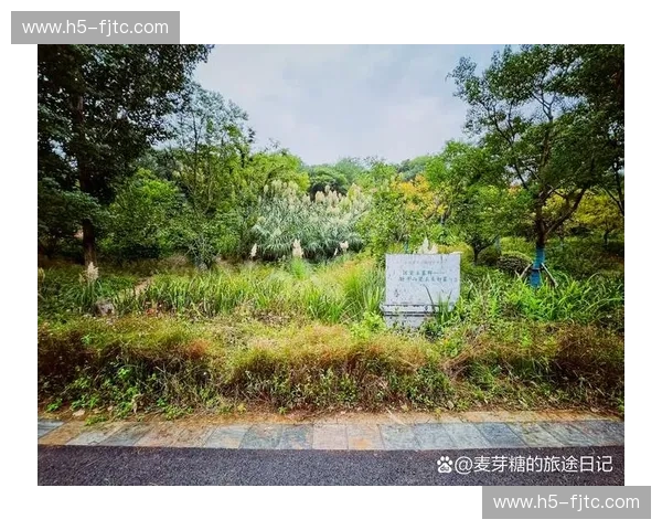 繁花落尽见真章:在上海的精致与浙江的野性间,谁才是灵魂的终极归宿? 繁花落尽见真章:在上海的精致与浙江的野性间,谁才是灵魂的终极归宿?